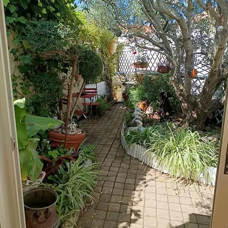Maison De Charme Vendeenne Plein Centre Hébergement de vacances *